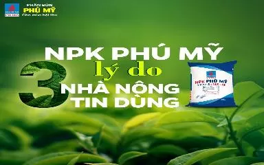 NPK PHÚ MỸ – 3 lý do để nhà nông tin dùng